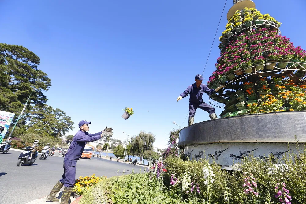 Tiểu cảnh hoa phục vụ Festival hoa Đà Lạt bị trộm  ảnh 4