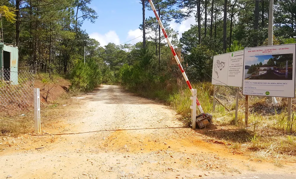 Lại thêm dự án tại hồ Tuyền Lâm – Đà Lạt phá rừng làm khu nghỉ dưỡng ảnh 1