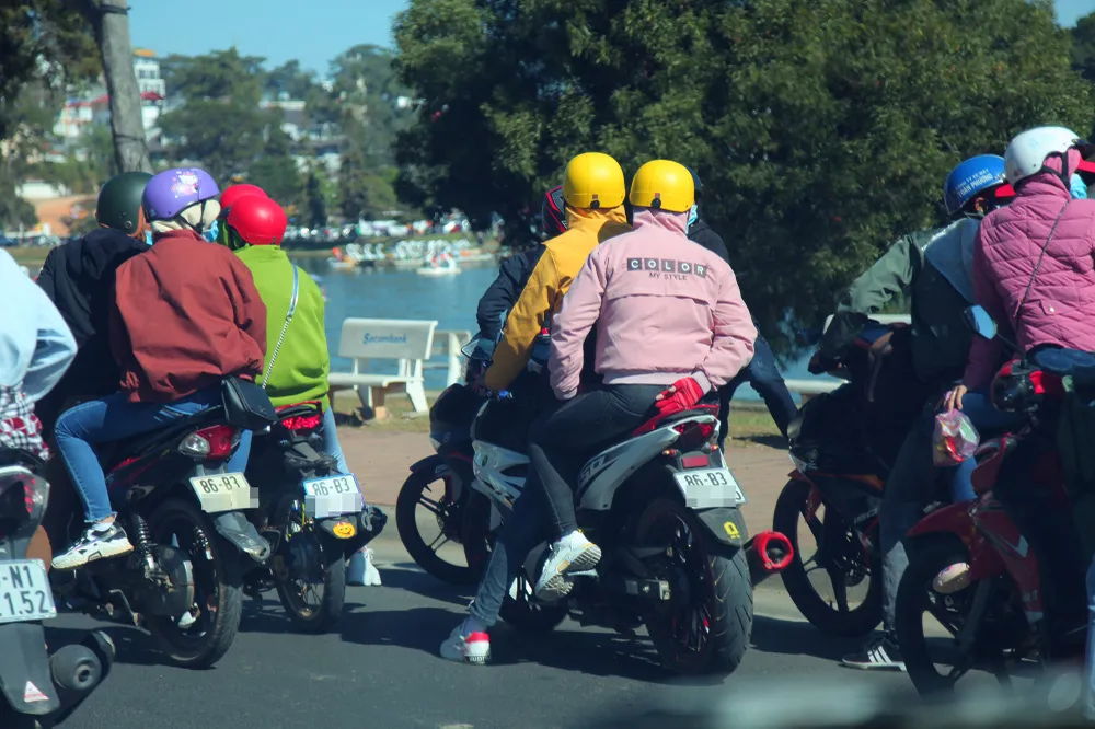 Đà Lạt đông nghẹt khách du xuân  ảnh 7