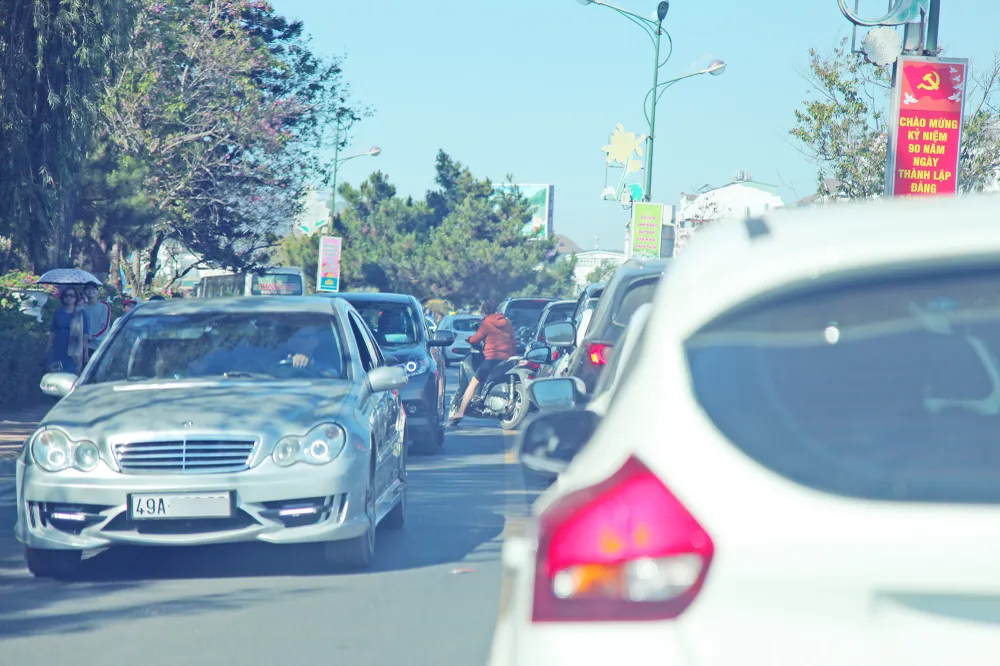 Đà Lạt đông nghẹt khách du xuân  ảnh 9