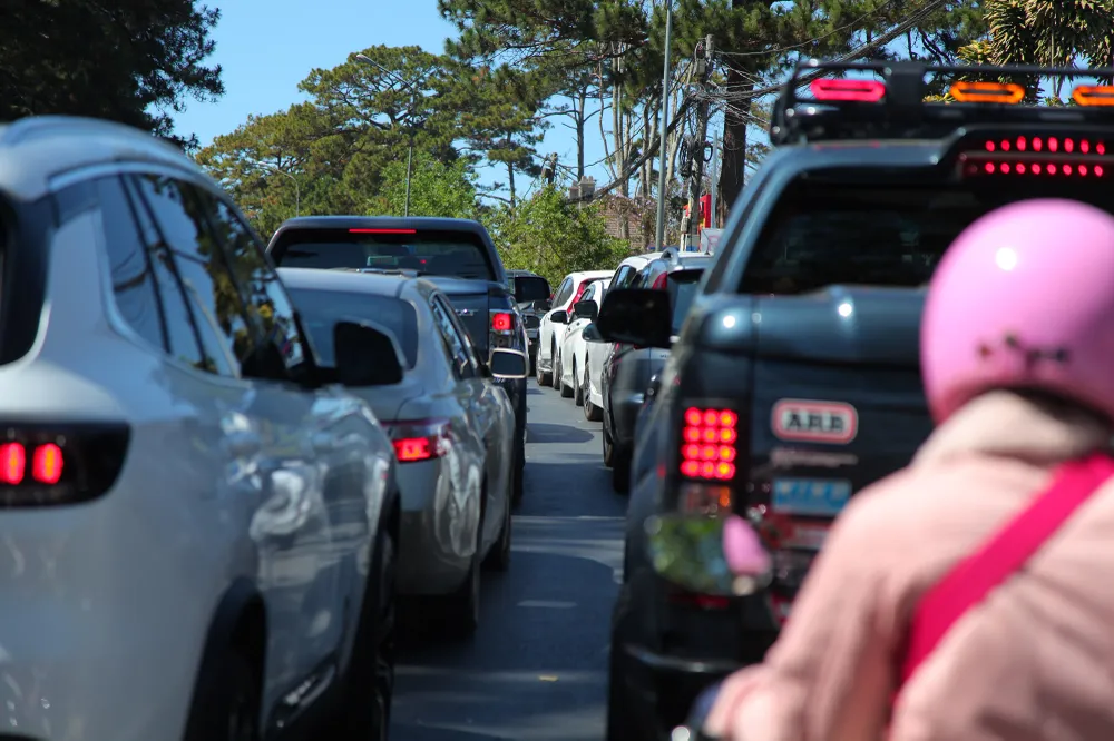 Đà Lạt đông nghẹt khách du xuân  ảnh 5