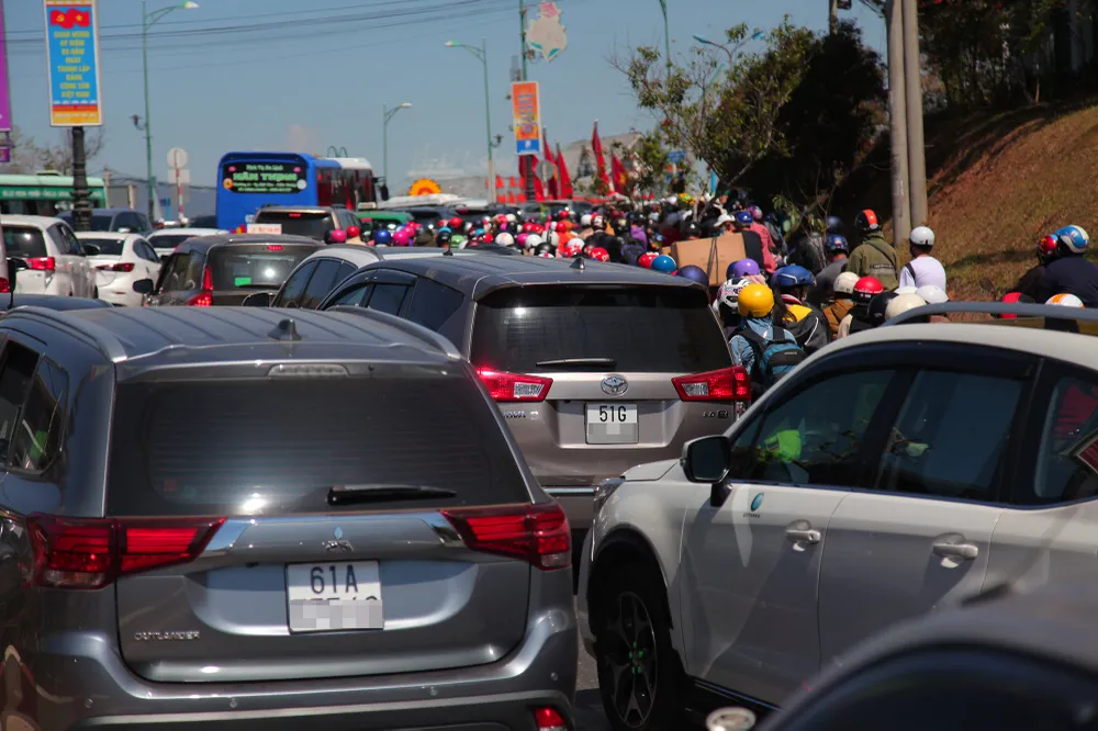 Đà Lạt đông nghẹt khách du xuân  ảnh 1