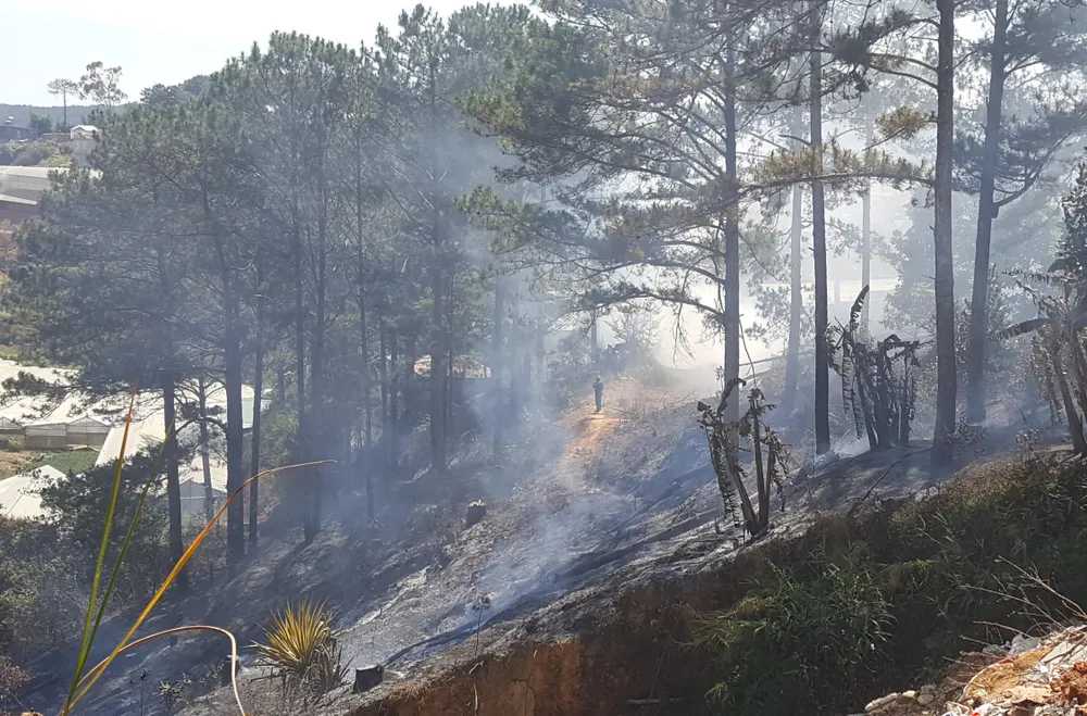 Liên tiếp xảy ra hỏa hoạn ở Đà Lạt ảnh 2