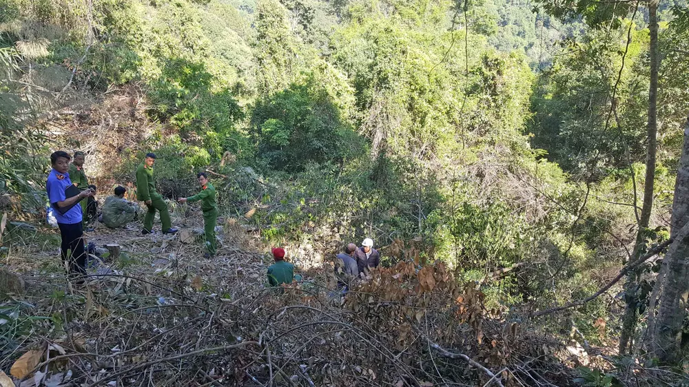 Bắt quả tang 3 đối tượng phá rừng ở Đà Lạt ảnh 7