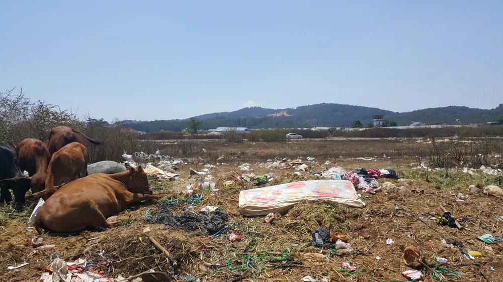 Sân bay Cam Ly (Đà Lạt) tràn ngập rác thải ảnh 5