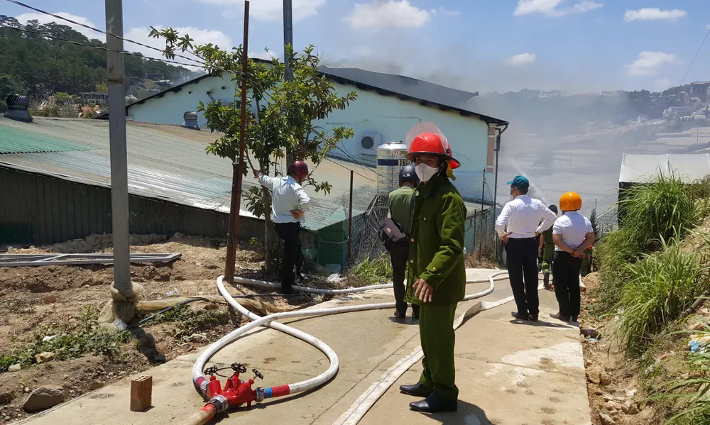 Hoả hoạn thiêu rụi trại giống cây ở Đà Lạt ảnh 2