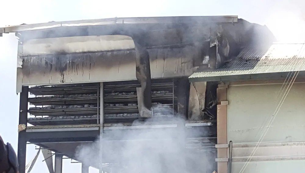 Hoả hoạn thiêu rụi trại giống cây ở Đà Lạt ảnh 5