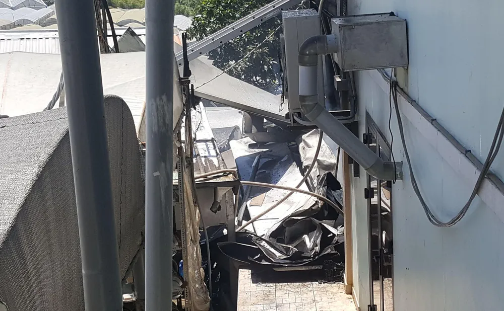 Hoả hoạn thiêu rụi trại giống cây ở Đà Lạt ảnh 4