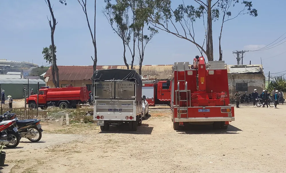 Hoả hoạn thiêu rụi trại giống cây ở Đà Lạt ảnh 7