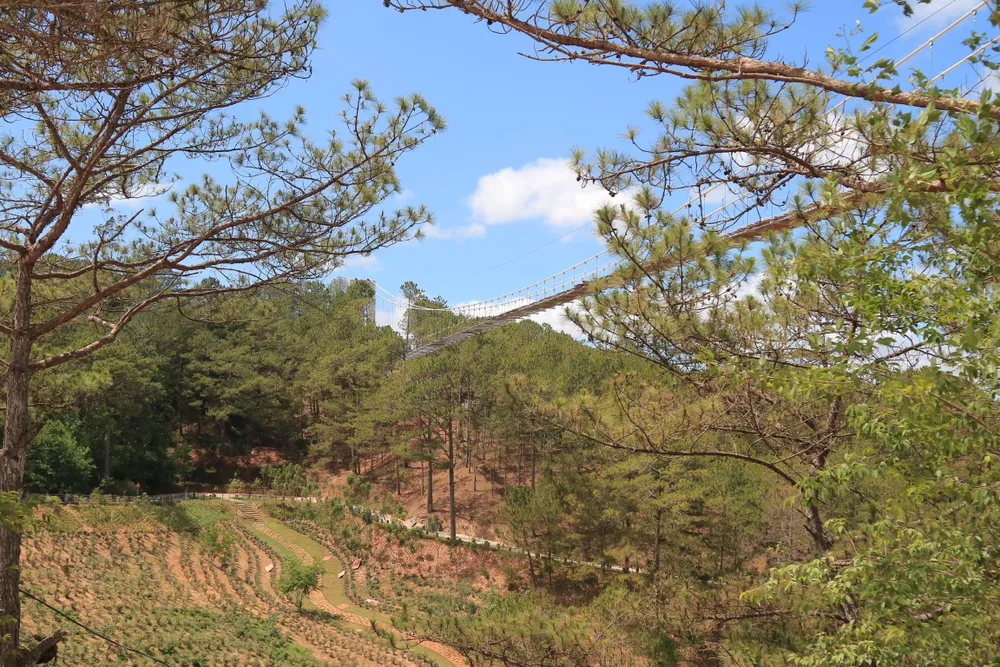 Đề xuất cưỡng chế tháo dỡ cầu đáy kính không phép ở Thung lũng Tình yêu ảnh 2