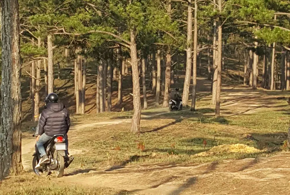 Dân chơi đá gà chạy tán loạn giữa rừng khi bị phát hiện ảnh 2