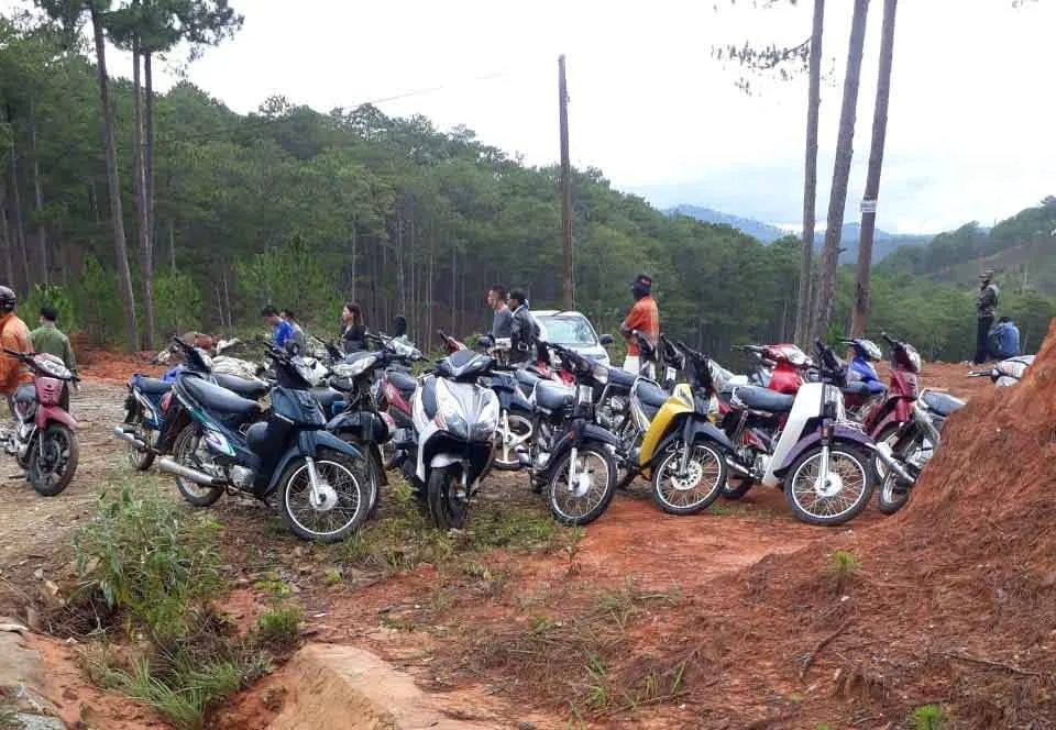 Dân chơi đá gà chạy tán loạn giữa rừng khi bị phát hiện ảnh 1