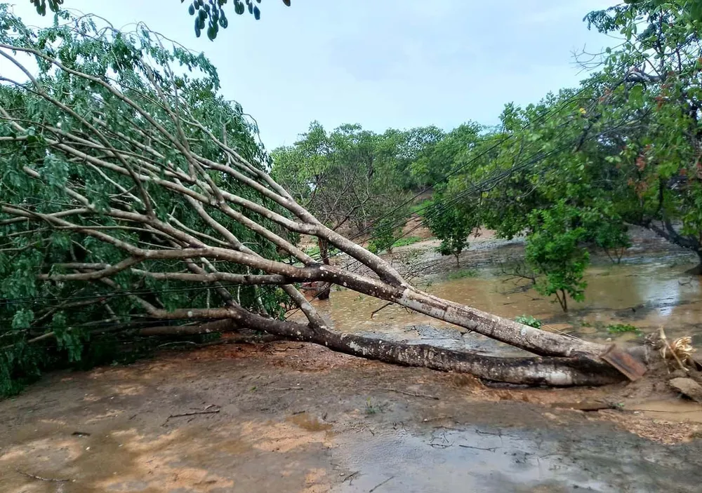 Lốc xoáy làm tốc mái hàng chục căn nhà ảnh 3