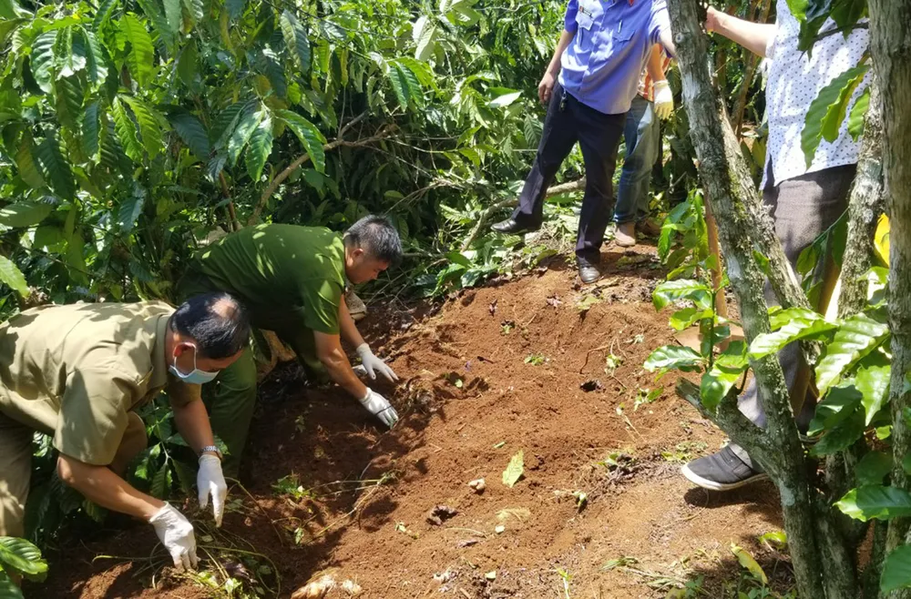 Án chung thân cho kẻ giết 3 bà cháu, chôn xác phi tang ảnh 3