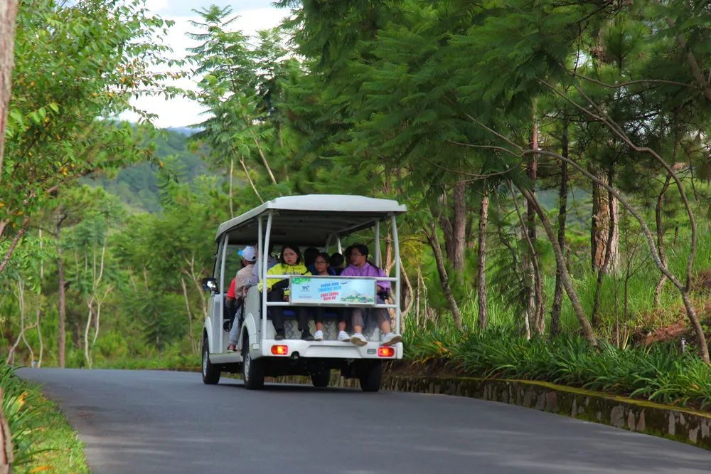 Du khách đổ về Đà Lạt nghỉ mát ảnh 8