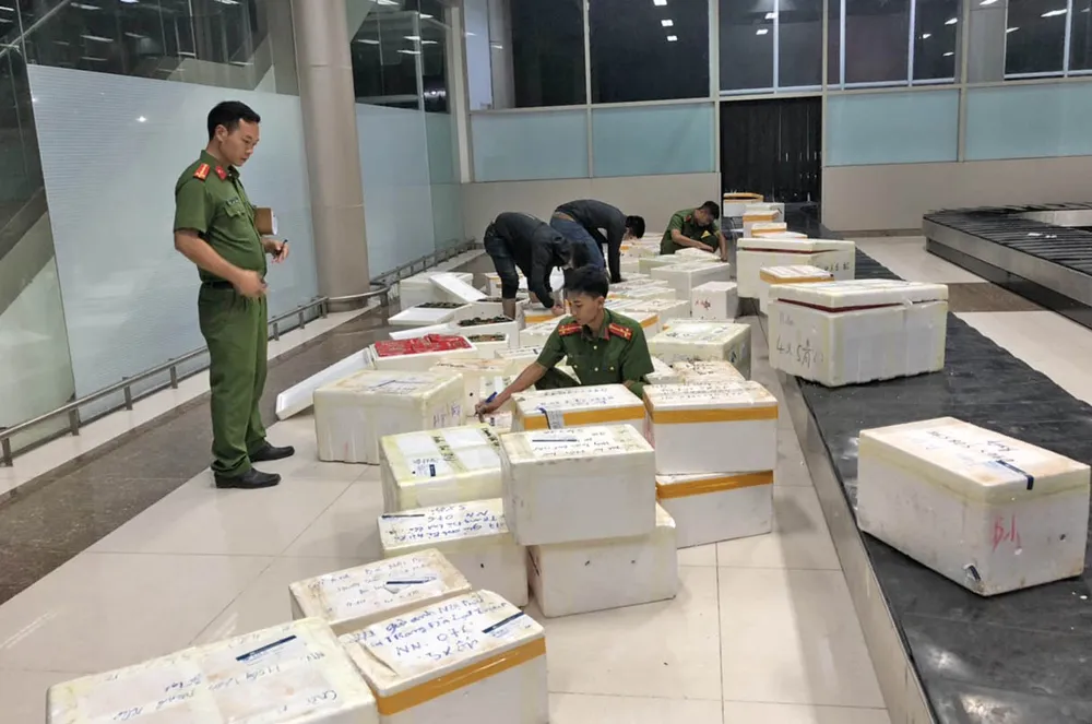 Bắt giữ hơn 600 thùng dâu tây nghi của Trung Quốc nhập lậu vào Đà Lạt qua đường hàng không ảnh 1