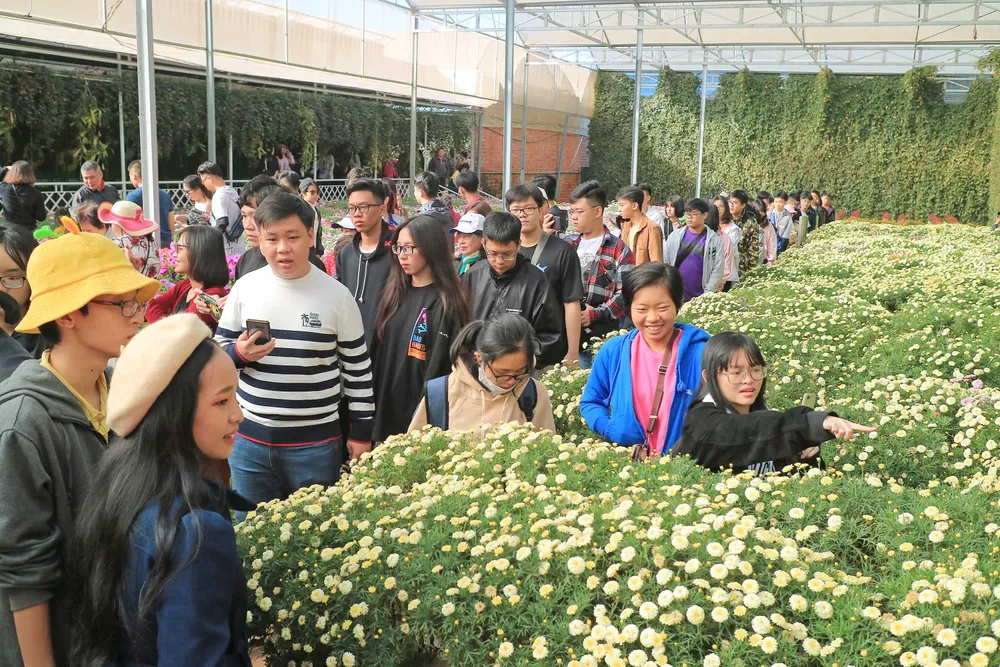 Đồng chí Trần Duy Hùng được bầu làm Bí thư Thành ủy Đà Lạt ảnh 2