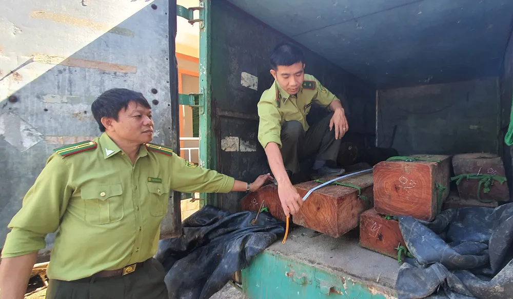 Lâm tặc chở gỗ quý lao vào đoàn kiểm tra hòng tẩu thoát ảnh 1