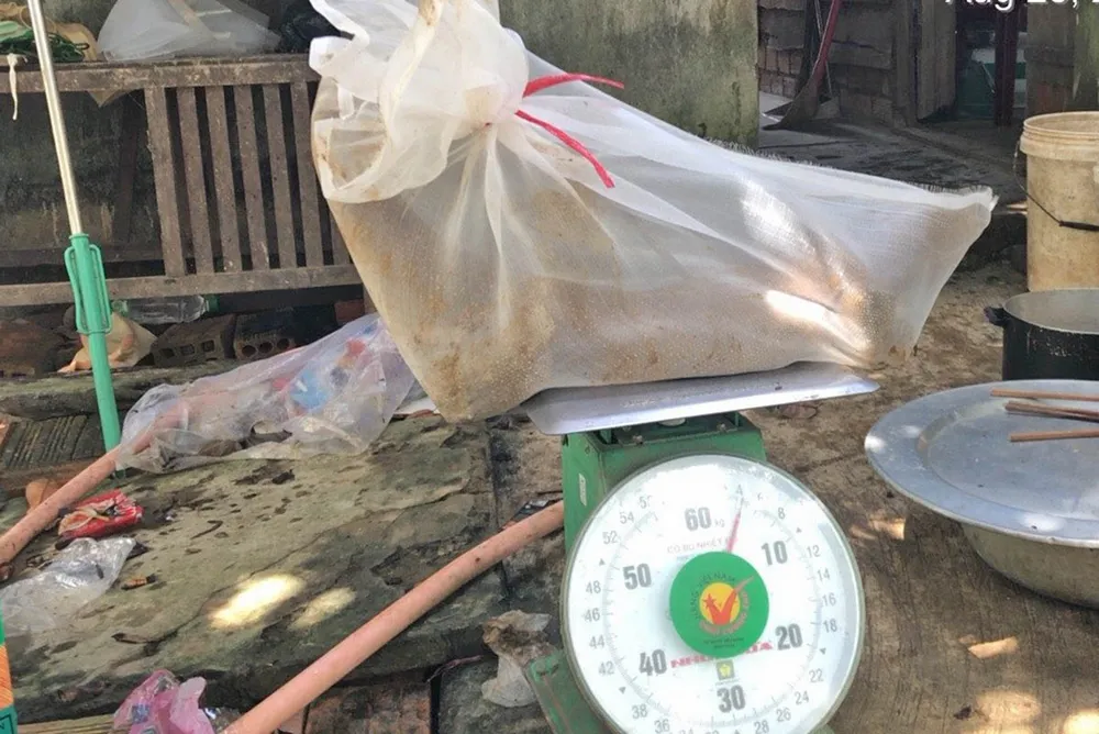  Vận chuyển 3 cá thể động vật rừng quý hiếm bị phạt gần 300 triệu đồng  ảnh 1