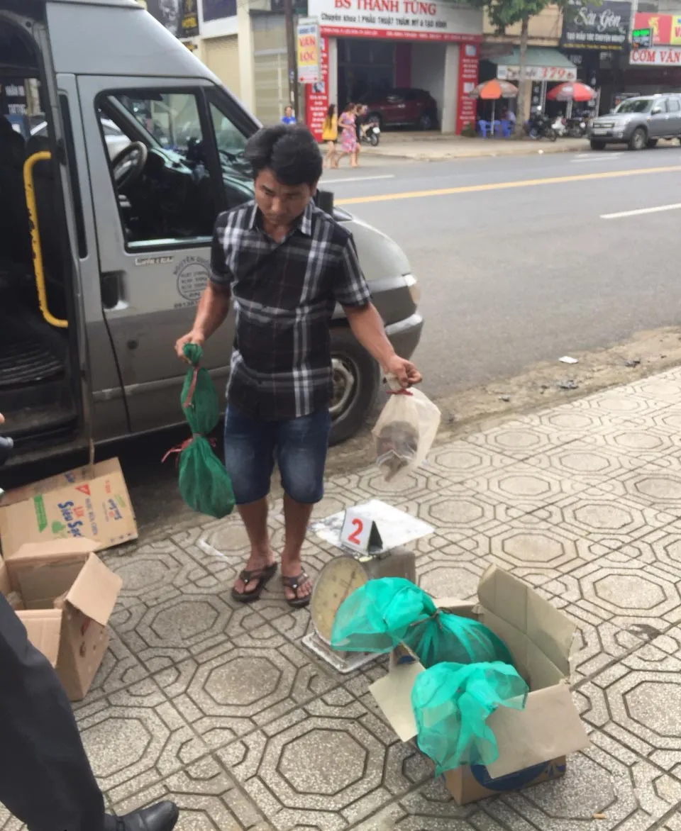 Bắt quả tang xe khách vận chuyển động vật hoang dã ảnh 2