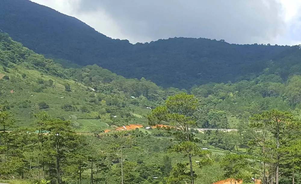 Hàng chục căn nhà xây dựng trái phép giữa đất rừng ở Lâm Đồng ảnh 10