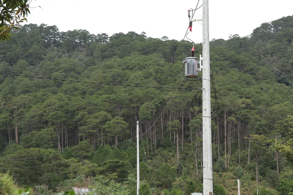 Hàng chục căn nhà xây dựng trái phép giữa đất rừng ở Lâm Đồng ảnh 8