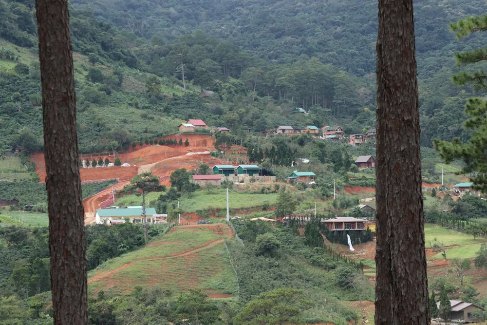 Lâm Đồng chỉ đạo xử lý nghiêm vụ hàng chục căn nhà xây trái phép giữa đất rừng ảnh 2