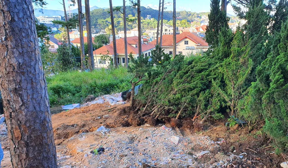 Giải tỏa “nóng” vụ lấn chiếm đất rừng ngay cửa ngõ TP Đà Lạt ảnh 2