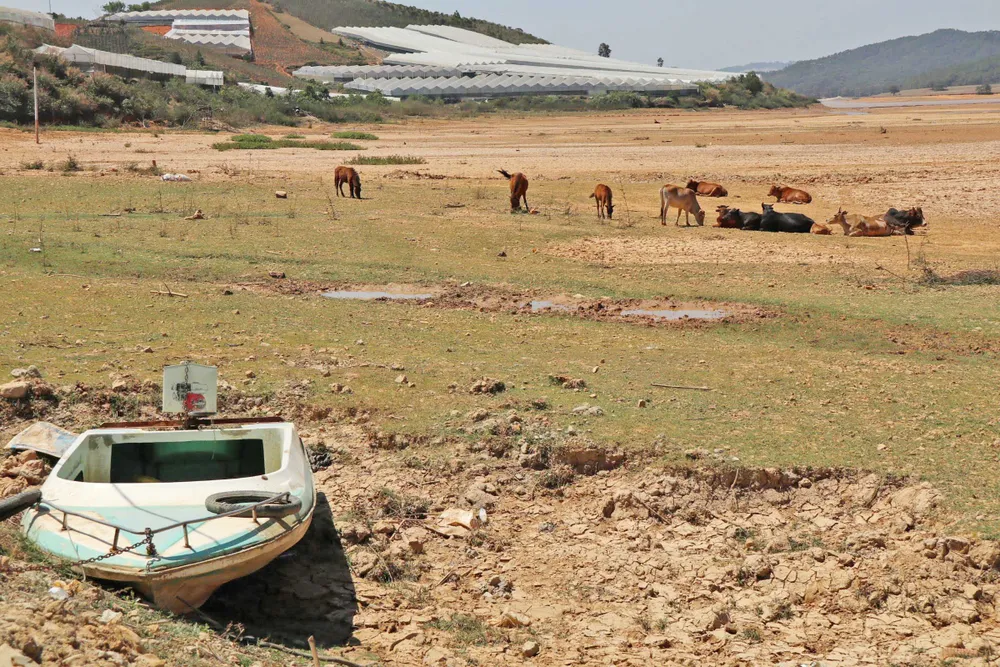 Xe máy thoải mái đi giữa lòng hồ Đan Kia – Suối Vàng  ảnh 4