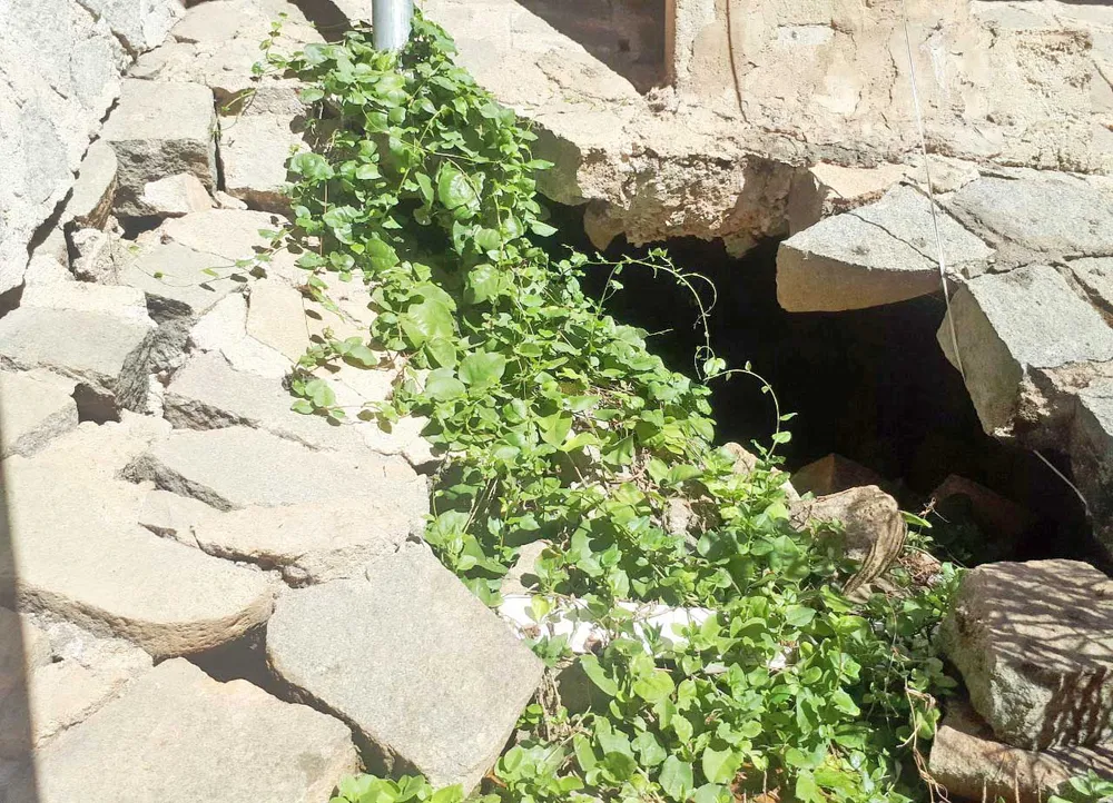 Sạt lở nền đất, di dời khẩn cấp 4 hộ dân giữa trung tâm Đà Lạt ảnh 2