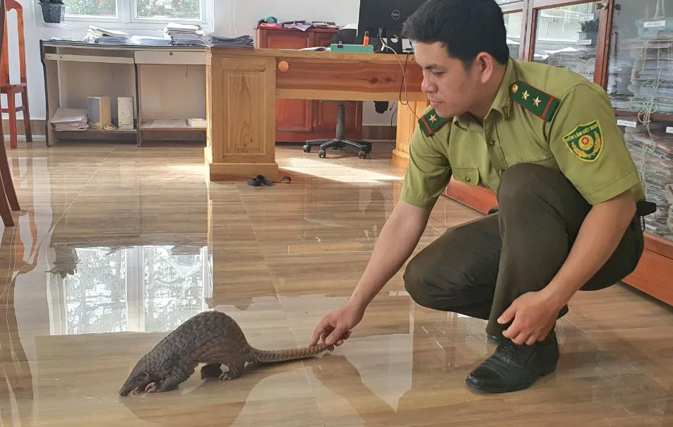 Dân mua thú hoang dã giao cho kiểm lâm thả về rừng ảnh 1