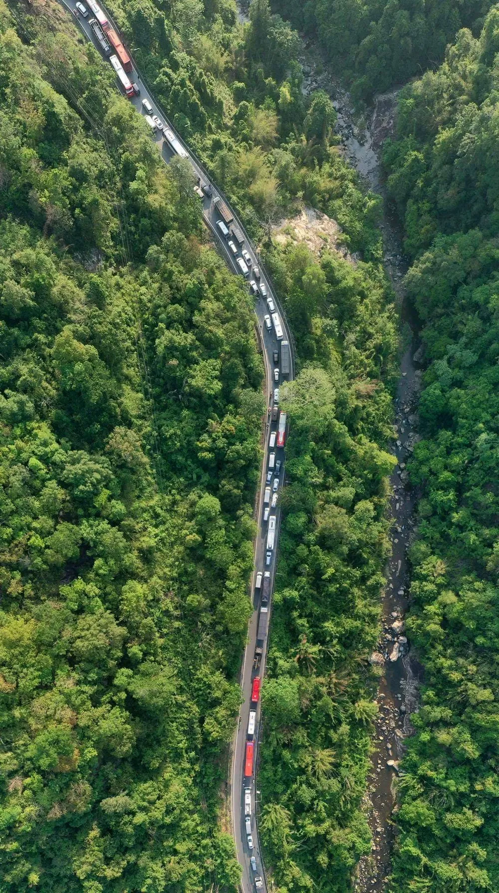 Đà Lạt tấp nập người, nhiều đoạn trên Quốc lộ 20 kẹt cứng ảnh 3