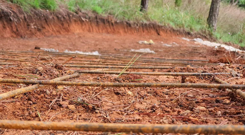 Ngang nhiên làm đường bê tông trong rừng thông Đà Lạt ảnh 3
