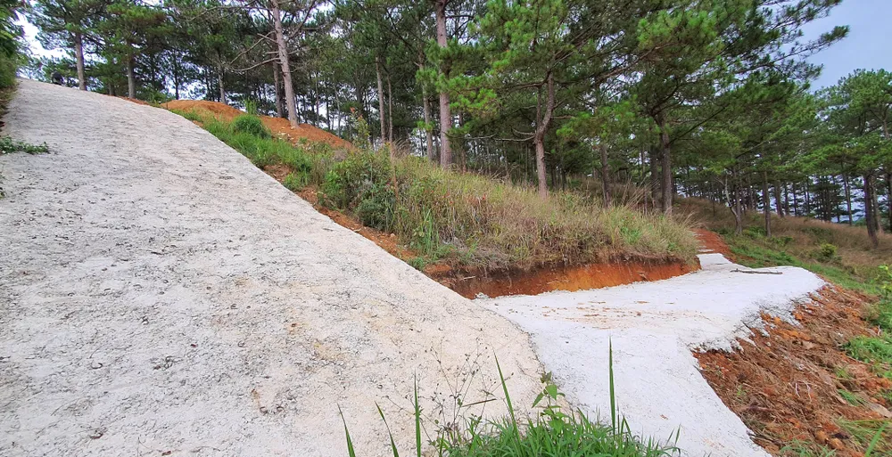 Ngang nhiên làm đường bê tông trong rừng thông Đà Lạt ảnh 1