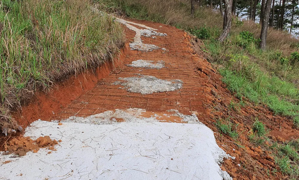 Ngang nhiên làm đường bê tông trong rừng thông Đà Lạt ảnh 2