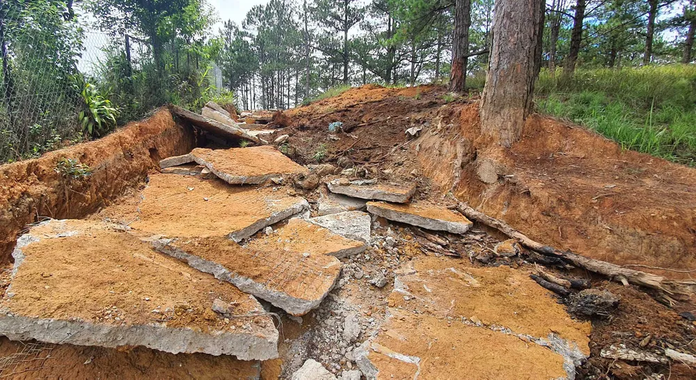 Ngang nhiên làm đường bê tông trong rừng thông Đà Lạt ảnh 6