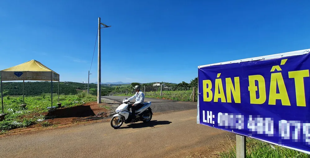 Đình chỉ công tác thêm một cán bộ liên quan tách thửa, quản lý đất đai tại TP Bảo Lộc ảnh 2