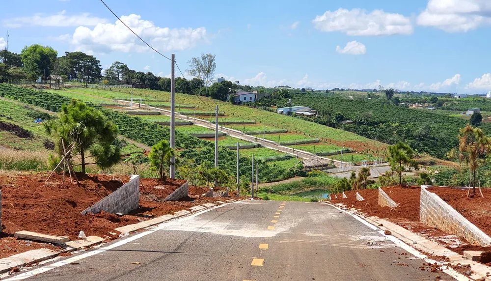 Đình chỉ công tác thêm một cán bộ liên quan tách thửa, quản lý đất đai tại TP Bảo Lộc ảnh 1