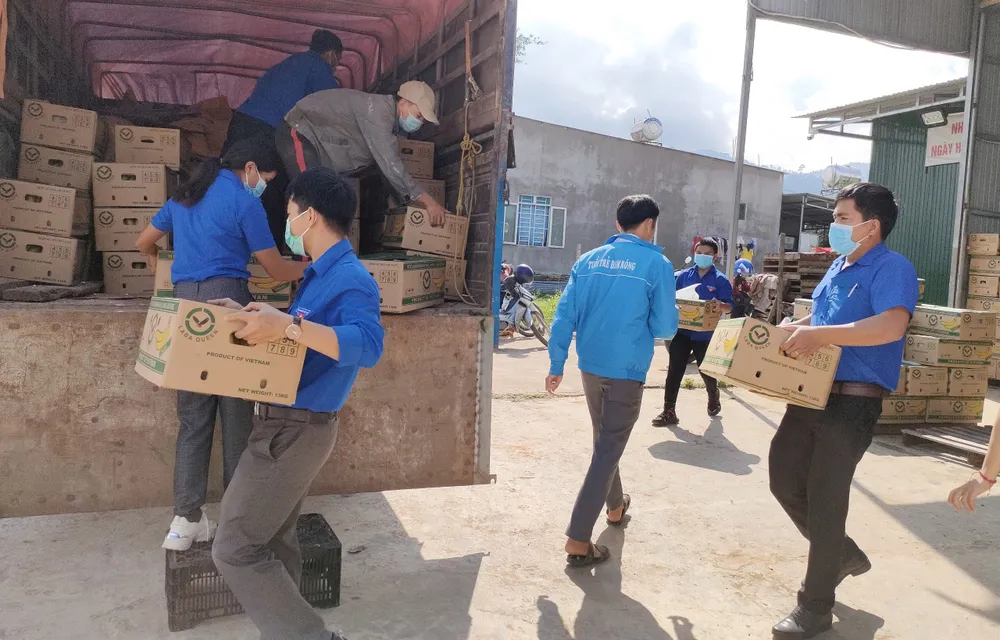 Lâm Đồng tiếp tục gửi nhiều “chuyến xe yêu thương” tiếp sức TPHCM phòng chống dịch Covid-19 ảnh 5