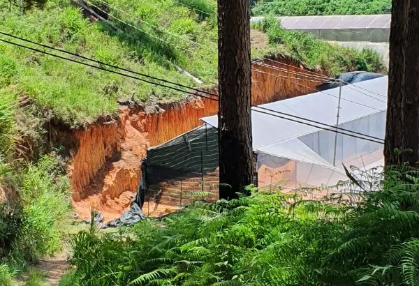 Đi xử lý san gạt, lấn chiếm đất rừng, nhóm cán bộ phường bị rượt đánh ảnh 2