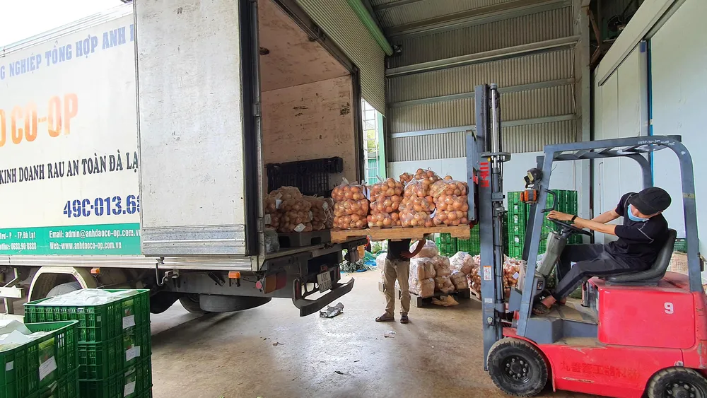 Mỗi ngày Lâm Đồng xuất 4.000 tấn rau, củ đi TPHCM ảnh 5