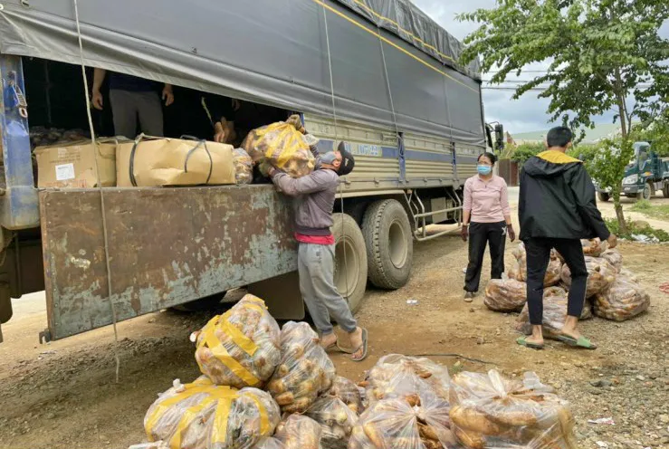 Rau “0” đồng nườm nượp về TPHCM ảnh 4