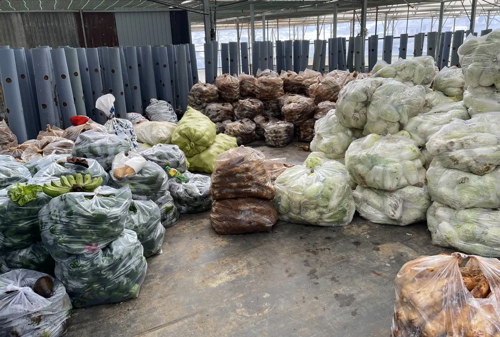 Rau “0” đồng nườm nượp về TPHCM ảnh 8
