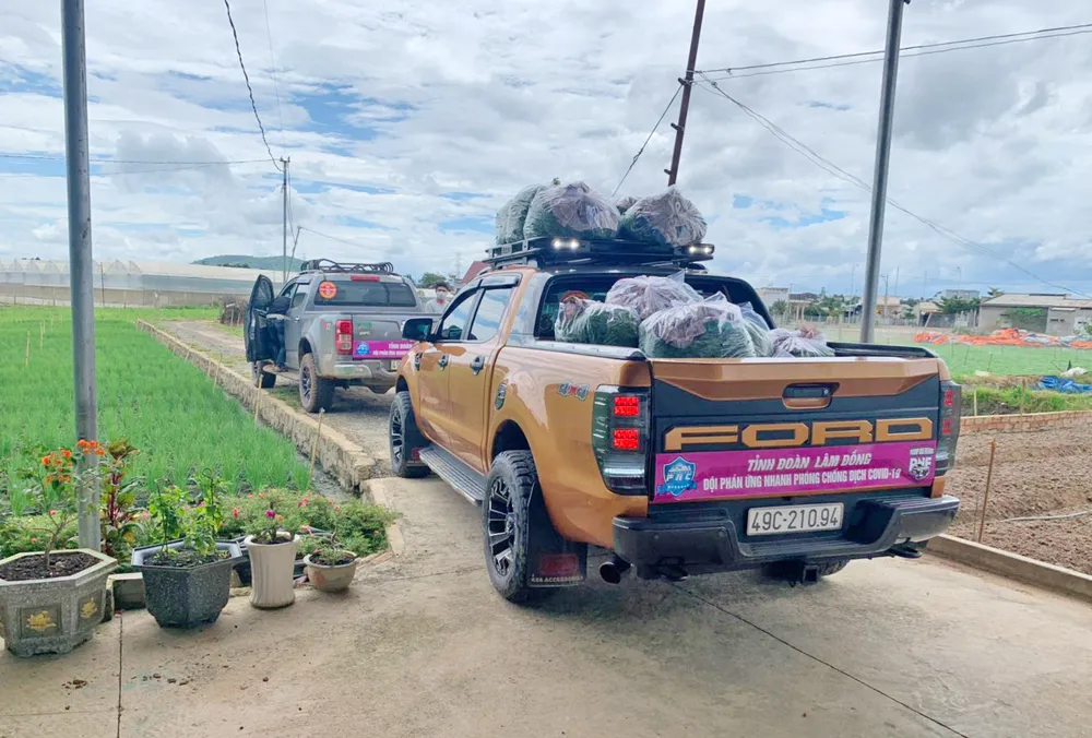 Thêm nhiều xe rau, củ từ Lâm Đồng hỗ trợ vùng dịch ở TPHCM và Phú Yên ảnh 7