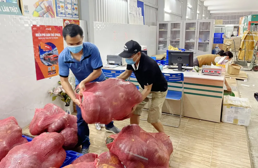 Thêm nhiều xe rau, củ từ Lâm Đồng hỗ trợ vùng dịch ở TPHCM và Phú Yên ảnh 10