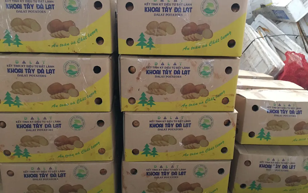 Nhiều địa phương hỗ trợ hàng hóa cho TPHCM ảnh 7