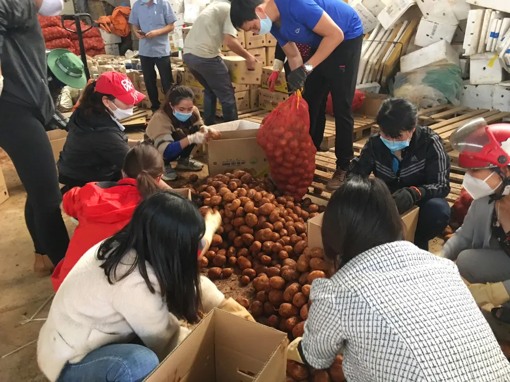 Nhiều địa phương hỗ trợ hàng hóa cho TPHCM ảnh 2