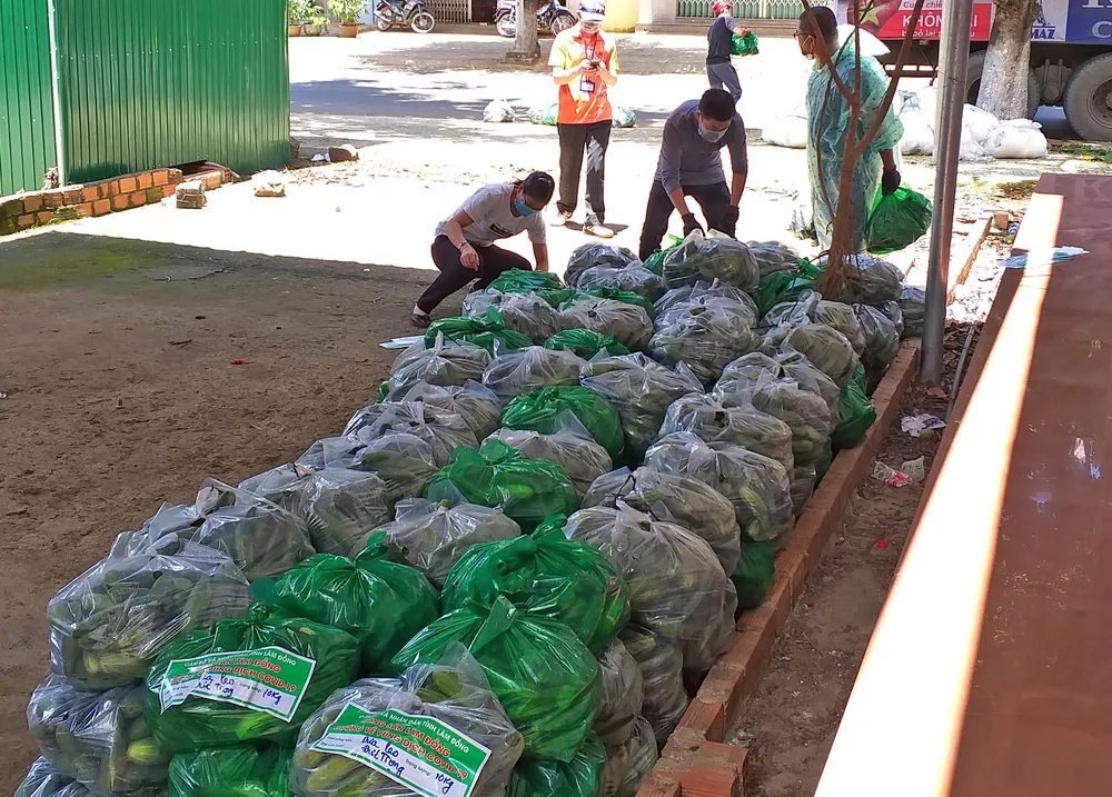 Nhiều địa phương hỗ trợ hàng hóa cho TPHCM ảnh 6