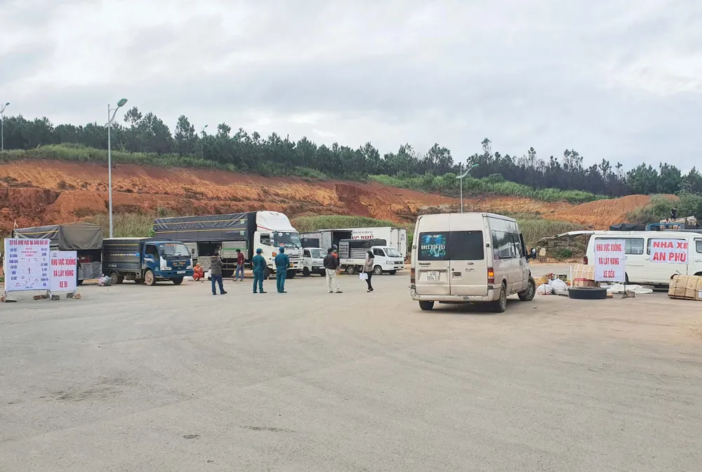 Đà Lạt: Doanh nghiệp kêu khó với cam kết phải bồi hoàn chi phí nếu để xảy ra lây lan dịch ảnh 1