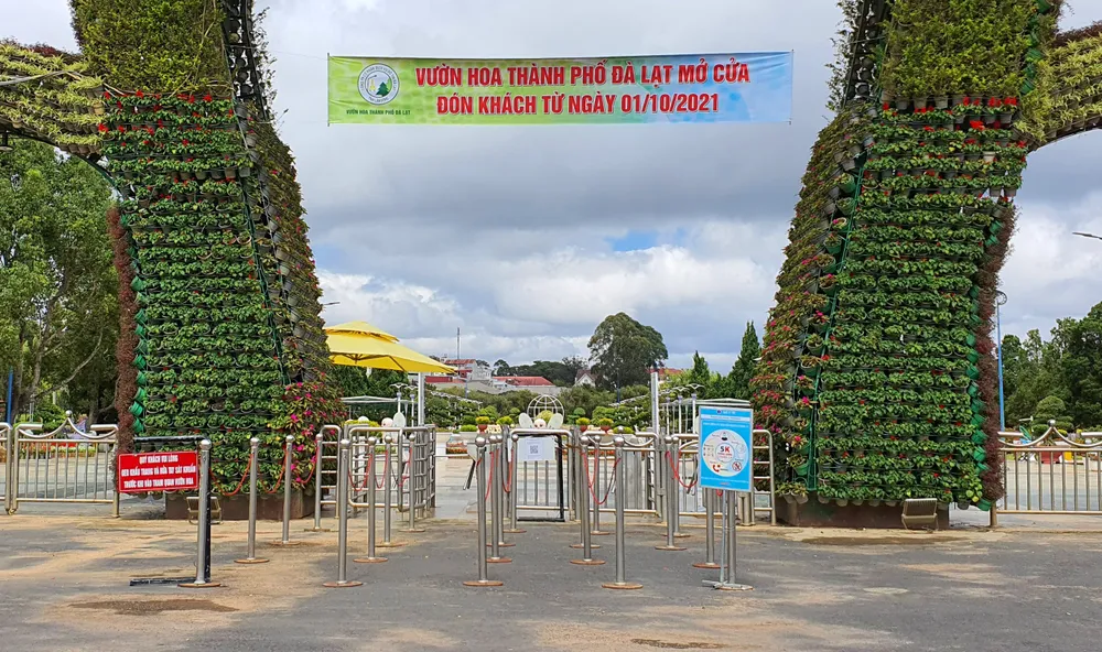  Khách du lịch đến Đà Lạt nhộn nhịp trở lại ảnh 3